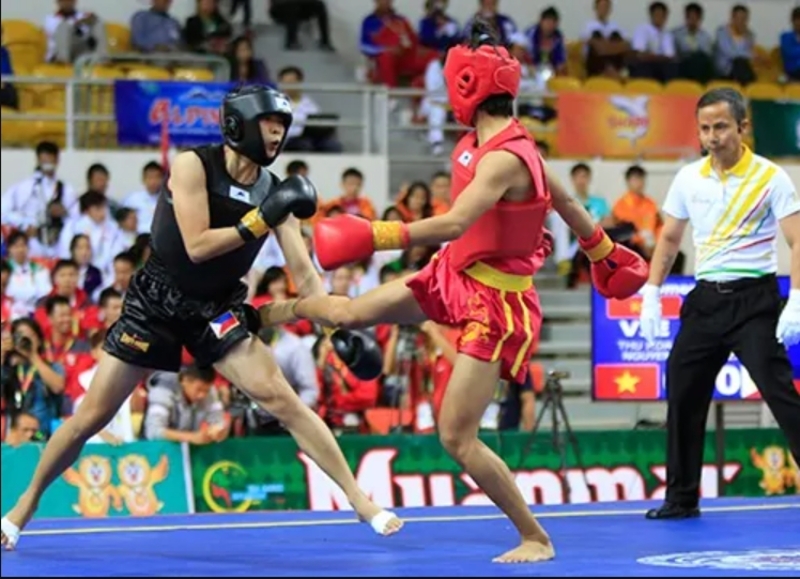 Tán thủ là nội dung đối kháng của Wushu, tập trung vào hiệu quả đòn đánh và khả năng thi đấu trực tiếp. 