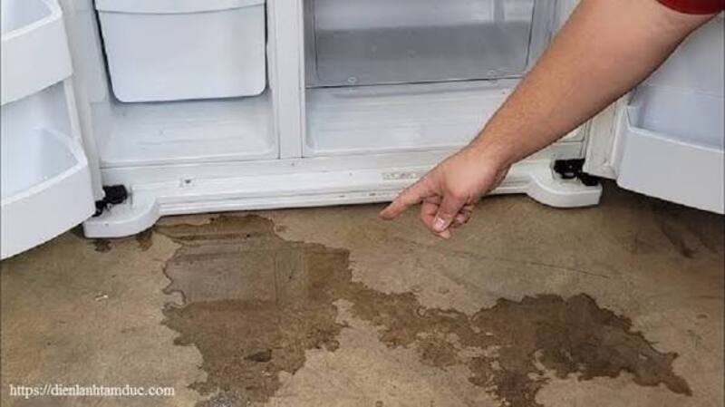Tủ lạnh bị chảy nước có thể xuất phát từ lỗ thoát nước bị tắc, gioăng cửa hở, khay hứng nước lệch hoặc thói quen sử dụng chưa đúng. 