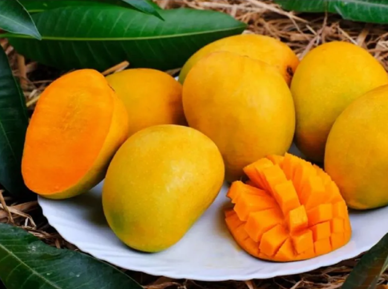 Ăn xoài chín có tốt không cần được đánh giá dựa trên giá trị dinh dưỡng và khẩu phần thực tế 