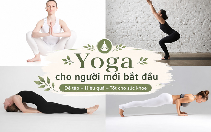 Yoga cho người mới bắt đầu được yêu thích nhờ khả năng điều chỉnh bài tập theo thể trạng và trình độ của từng người 
